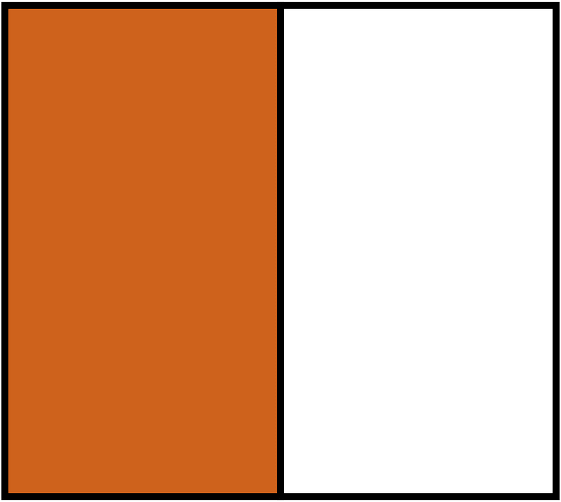 Orange-Brown Rectangle Fraction 1:2