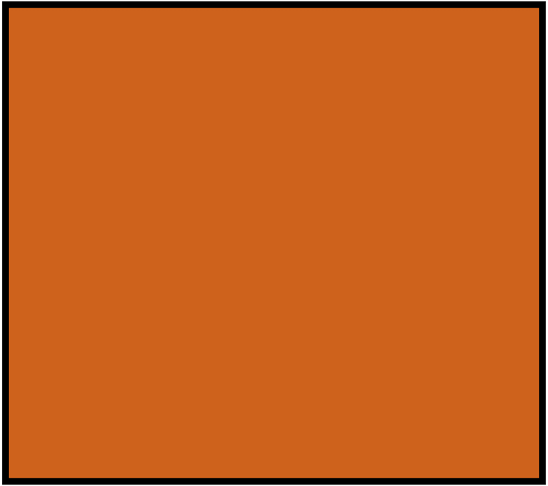 Orange-Brown Rectangle Fraction 1:1
