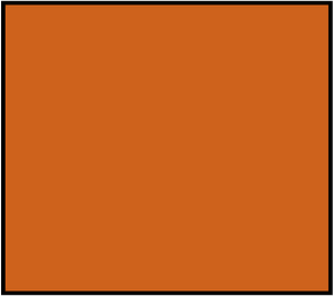 Orange-Brown Rectangle Fraction 1:1