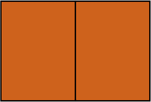 Orange-Brown Rectangle Fraction 2:2