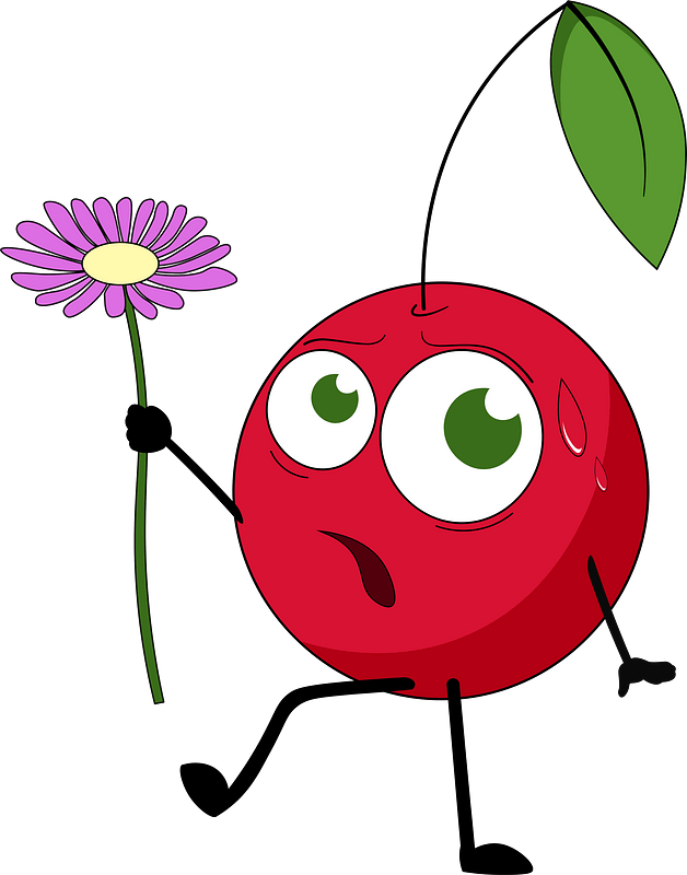 Cherry with flower