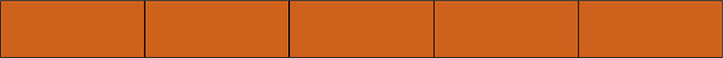 Orange-Brown Rectangle Fraction 5:5