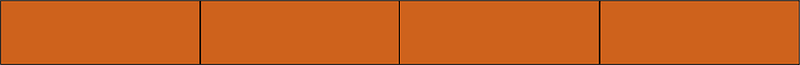 Orange-Brown Rectangle Fraction 4:4