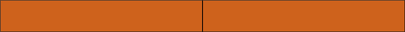 Orange-Brown Rectangle Fraction 2:2