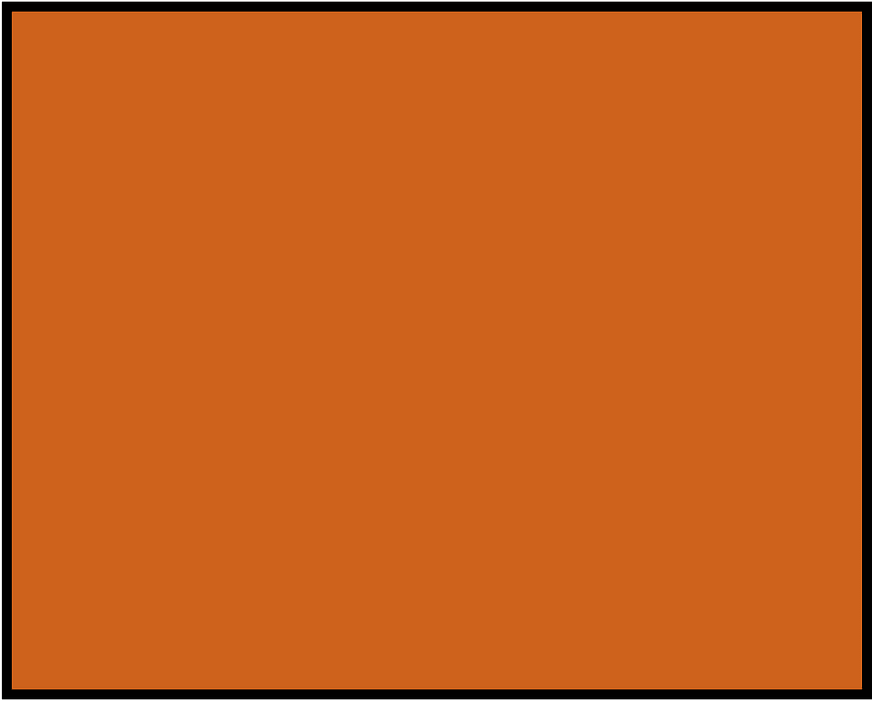 Orange-Brown Rectangle Fraction 1:1
