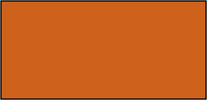 Orange-Brown Rectangle Fraction 1:1