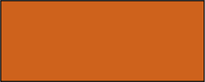 Orange-Brown Rectangle Fraction 1:1