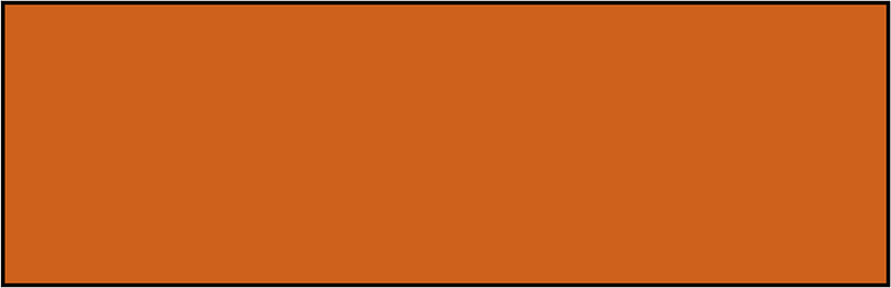 Orange-Brown Rectangle Fraction 1:1