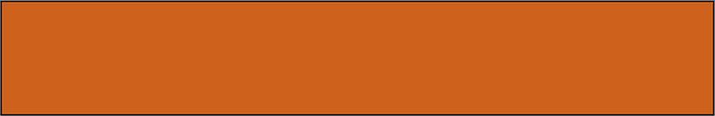 Orange-Brown Rectangle Fraction 1:1