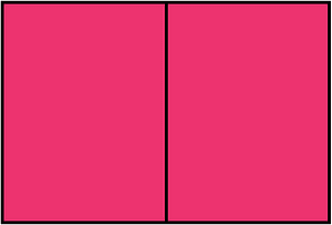 Pink Rectangle Fraction 2:2