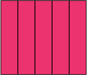 Pink Rectangle Fraction 5:5