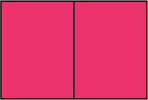 Pink Rectangle Fraction 2:2