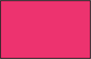 Pink Rectangle Fraction 1:1