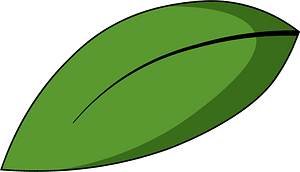 Green leaf