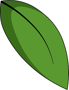 Green leaf