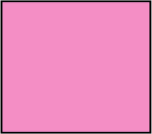Purple Rectangle Fraction 1:1