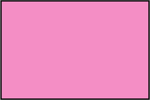 Purple Rectangle Fraction 1:1