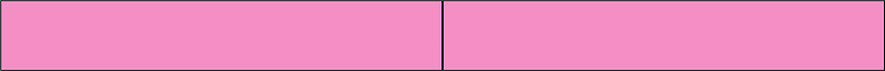 Purple Rectangle Fraction 2:2