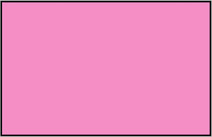 Purple Rectangle Fraction 1:1