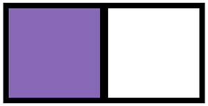 Violet Rectangle Fraction 1:2