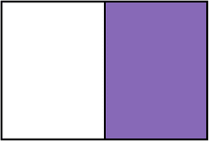 Violet Rectangle Fraction 1:2
