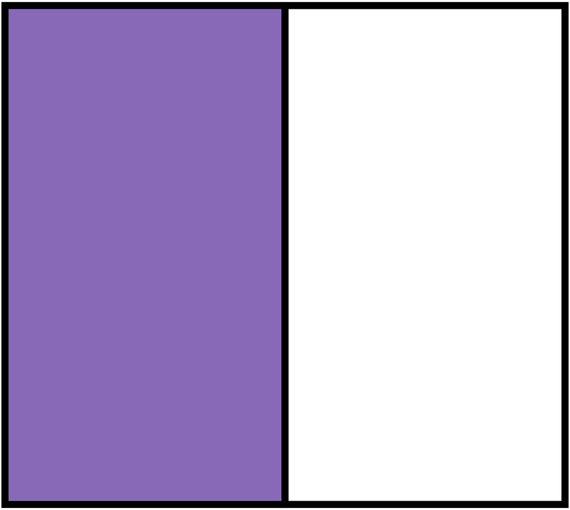 Violet Rectangle Fraction 1:2