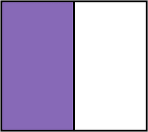Violet Rectangle Fraction 1:2