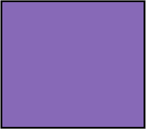 Violet Rectangle Fraction 1:1