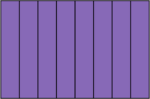 Violet Rectangle Fraction 8:8