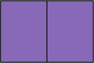 Violet Rectangle Fraction 2:2