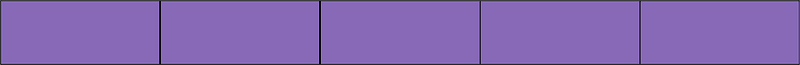 Violet Rectangle Fraction 5:5