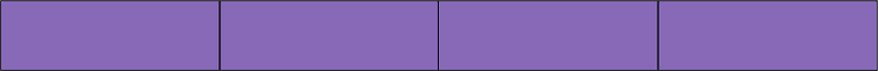 Violet Rectangle Fraction 4:4