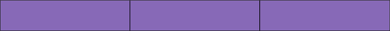 Violet Rectangle Fraction 3:3
