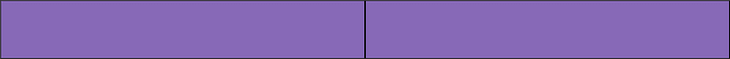 Violet Rectangle Fraction 2:2