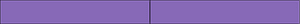 Violet Rectangle Fraction 2:2