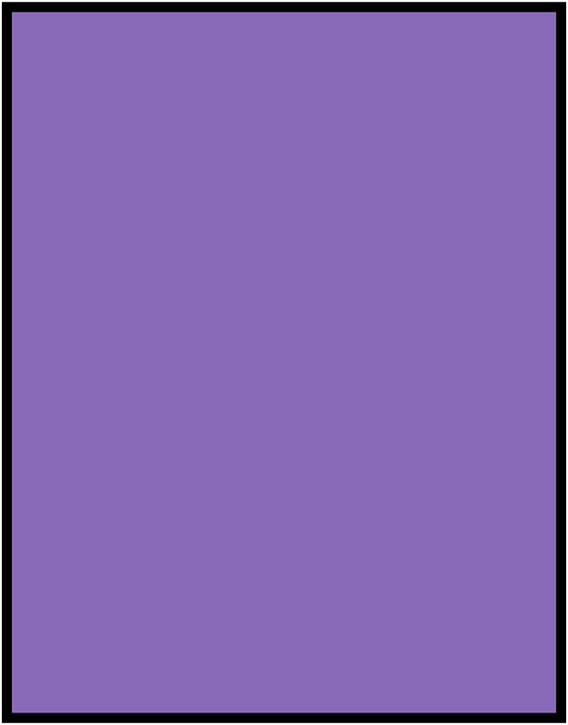 Violet Rectangle Fraction 1:1