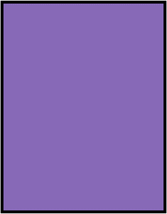 Violet Rectangle Fraction 1:1