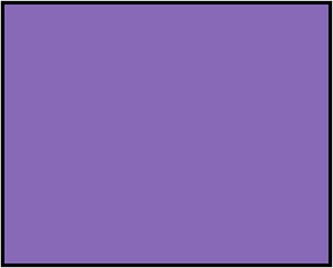 Violet Rectangle Fraction 1:1