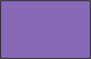 Violet Rectangle Fraction 1:1
