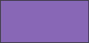 Violet Rectangle Fraction 1:1