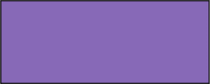 Violet Rectangle Fraction 1:1
