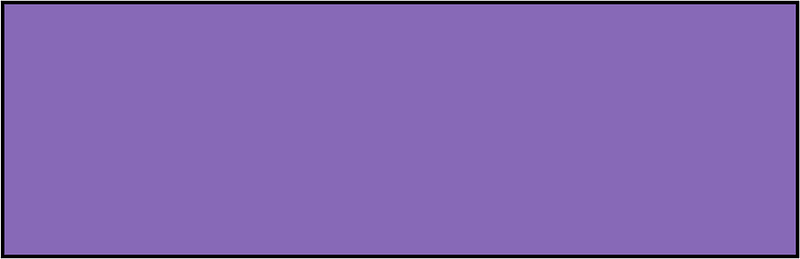 Violet Rectangle Fraction 1:1