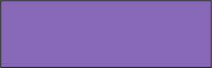 Violet Rectangle Fraction 1:1