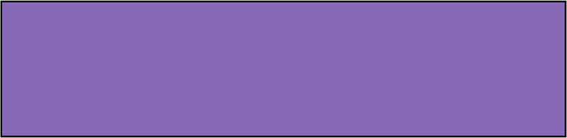 Violet Rectangle Fraction 1:1