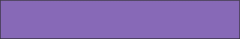 Violet Rectangle Fraction 1:1