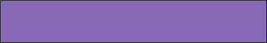 Violet Rectangle Fraction 1:1