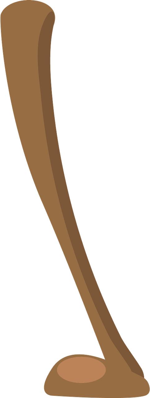 Right deer leg