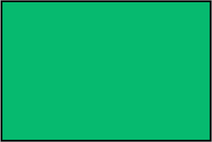 Green Rectangle Fraction 1:1