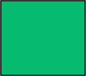 Green Rectangle Fraction 1:1