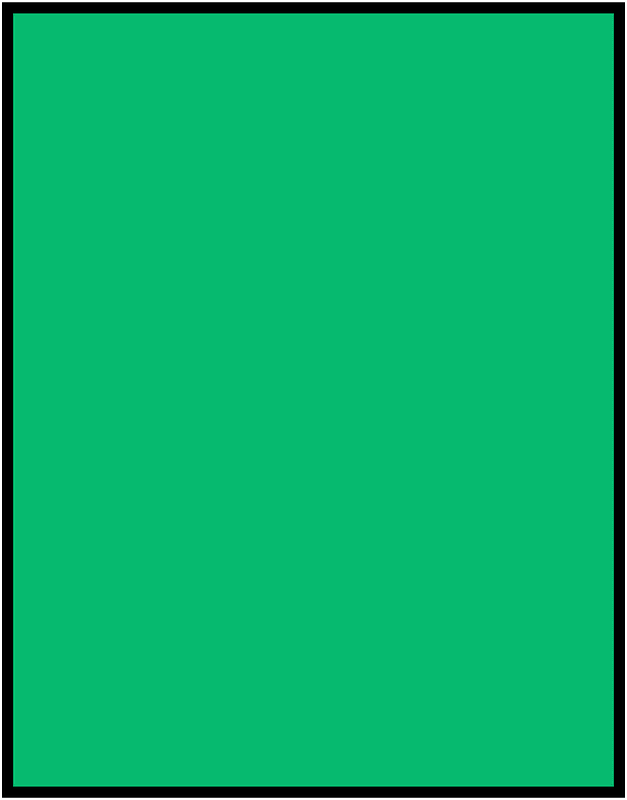 Green Rectangle Fraction 1:1